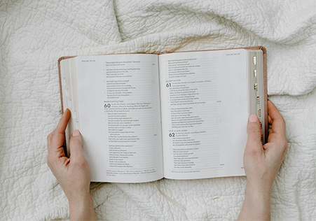 estudiando la biblia