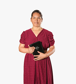 maestra del esbyd edit ticona